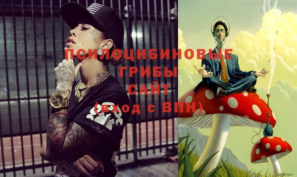 винт Абаза
