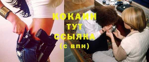 винт Абаза