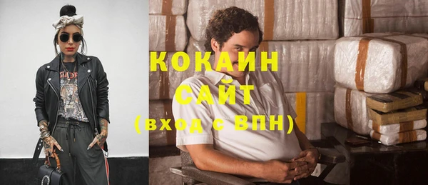 винт Абаза