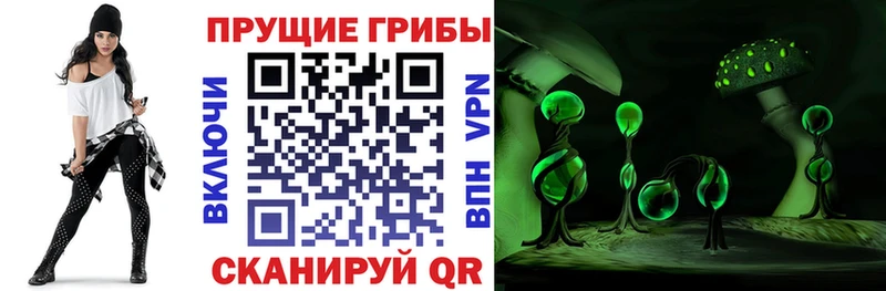 Псилоцибиновые грибы GOLDEN TEACHER  где купить наркоту  Щучье 